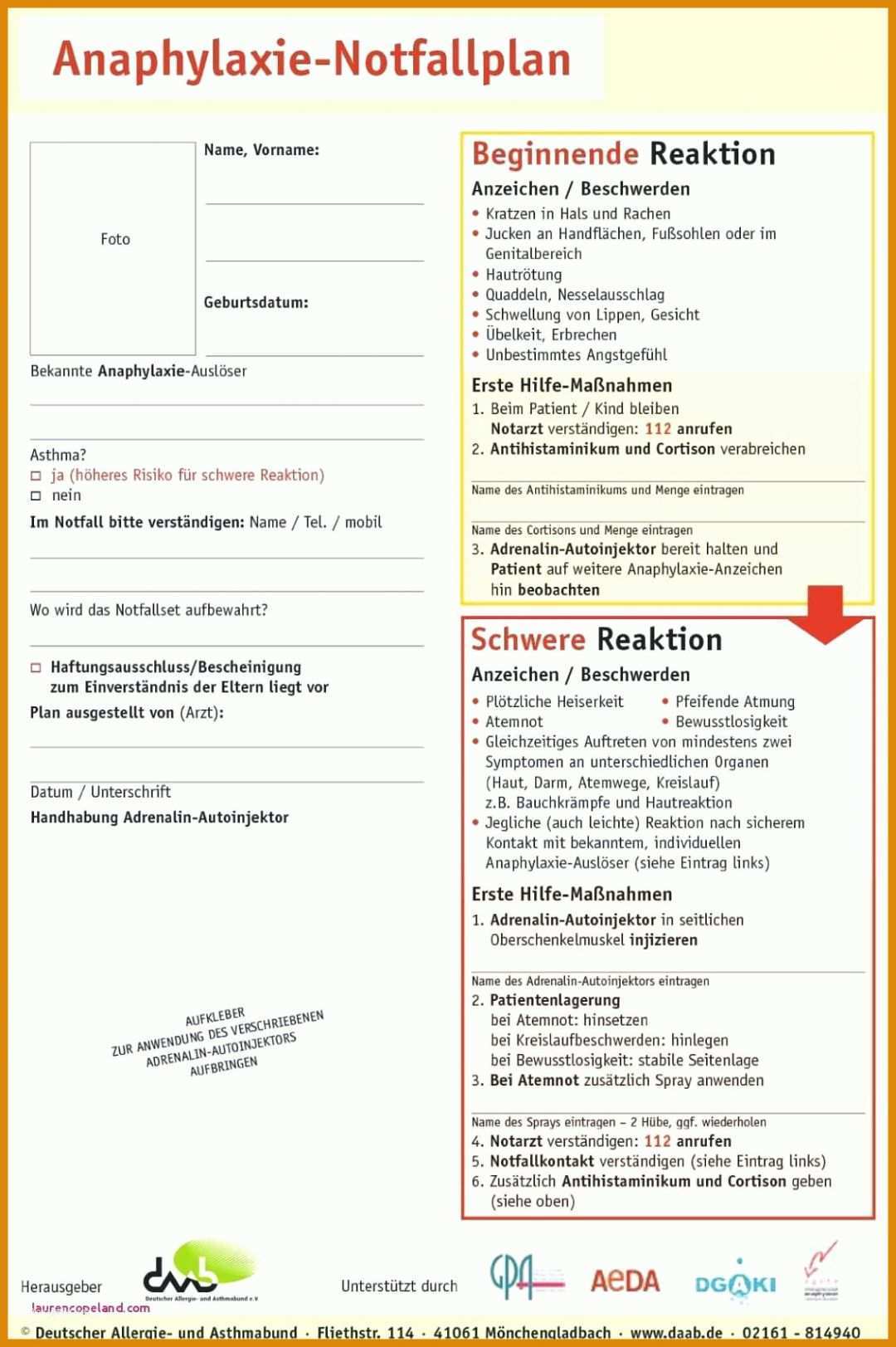 Fabelhaft Fragebogen Kundenzufriedenheit Vorlage Word 1132x1701