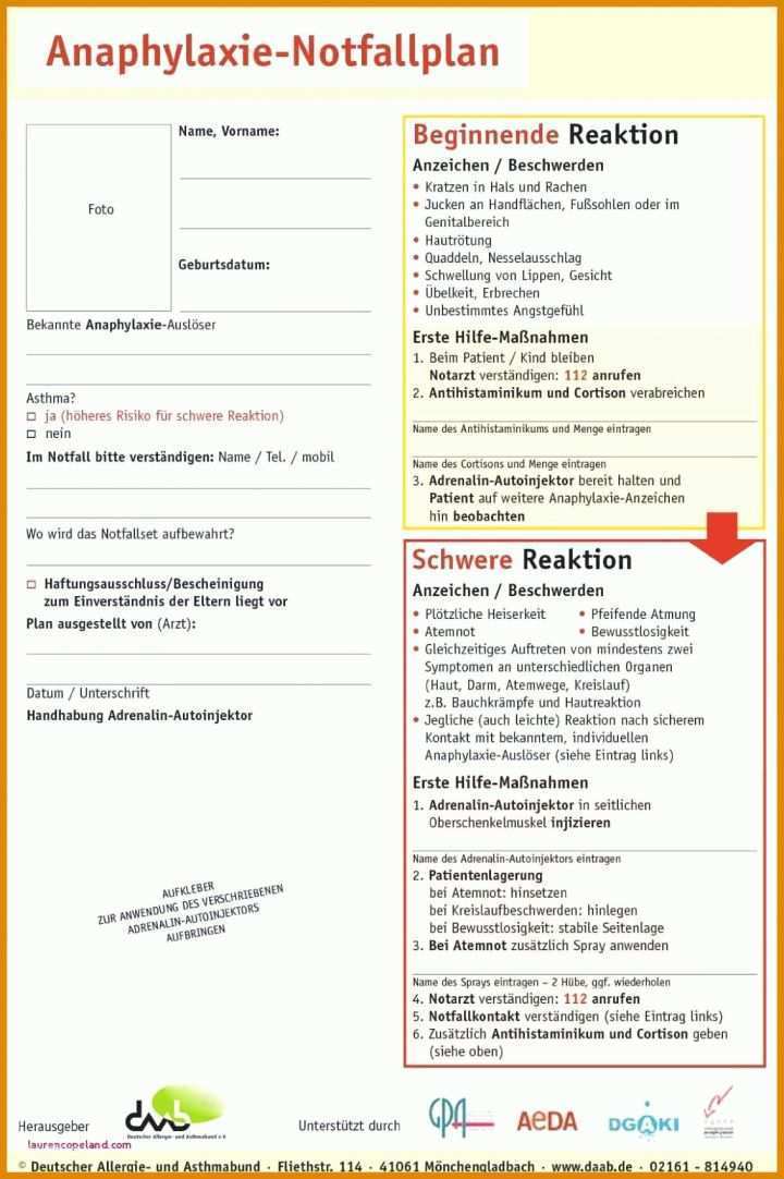 Limitierte Auflage Fragebogen Kundenzufriedenheit Vorlage Word 1132x1701