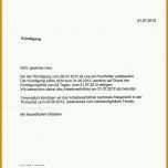 Empfohlen Kündigung Ausbildung Vorlage 914x1204