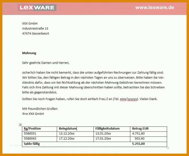 Fantastisch Lexware Mahnung Vorlage 792x655