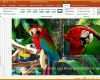 Singular Powerpoint 2016 Vorlagen 1280x720