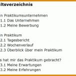 Phänomenal Praktikumsbericht Elektrotechnik Vorlage 750x560