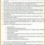 Singular Projektantrag Fachinformatiker Systemintegration Vorlage 960x1423