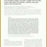 Einzahl Sepa überweisung Vorlage Pdf 773x1031