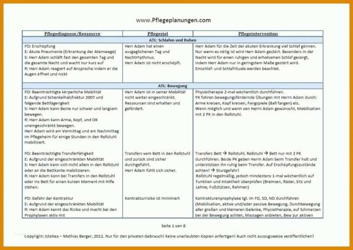 Vorlage Pflegeplanung 