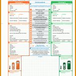 Faszinieren Vorlage Unfallbericht Kfz 714x986