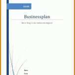 Schockierend Businessplan Vorlage Word 706x999
