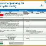 Schockierend Maßnahmenplan Sis Vorlage 960x720