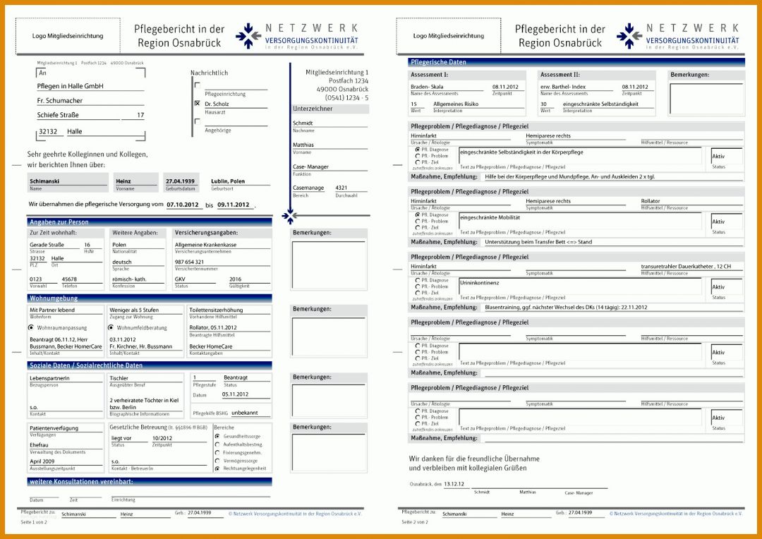 Kreativ Pflegebericht Vorlage Muster 1527x1080