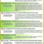 Überraschen Prozessaudit Vorlage 960x1358