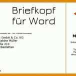 Einzahl Briefkopf Vorlage Word Kostenlos 790x428