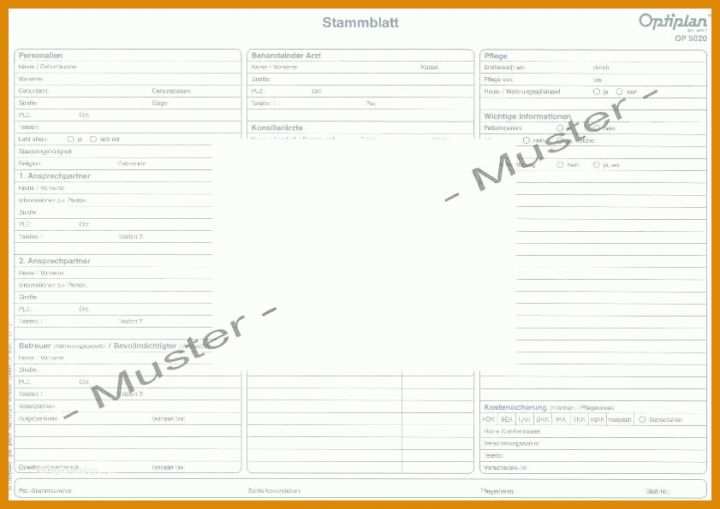 Schockieren Maßnahmenplan Vorlage Pflege 841x595