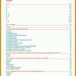 Einzahl Projektbeschreibung Vorlage Word 724x1024