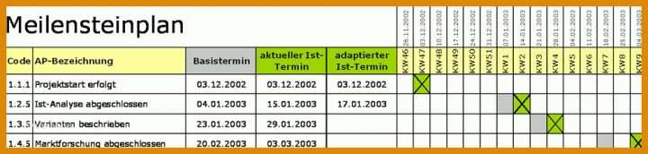 Wunderbar Projektphasenplan Vorlage 1000x239