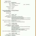 Einzigartig Cv Englisch Vorlage 768x1087