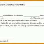 Erschwinglich Einverständniserklärung Zur Einsichtnahme In Die Personalakte Vorlage 1036x461