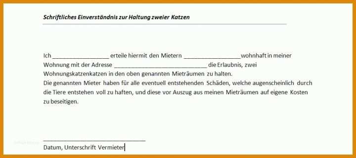 Überraschend Einverständniserklärung Zur Einsichtnahme In Die Personalakte Vorlage 1036x461