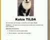 Kreativ Katze Vermisst Vorlage 749x1060