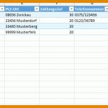 Tolle Kundendatenbank Excel Vorlage 1420x374