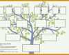 Beeindruckend Stammbaum Vorlage Pdf 736x529