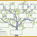 Beeindruckend Stammbaum Vorlage Pdf 736x529