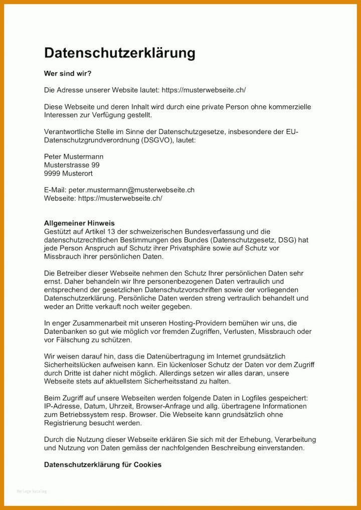 Schockieren Vorlage Datenschutzerklärung 874x1233