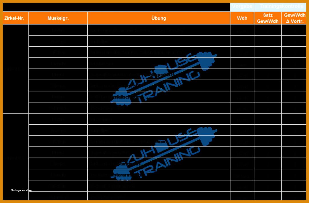 Großartig Vorlage Trainingsplan Fitnessstudio 1109x729