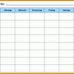 Einzigartig Wochenplan Vorlage Word 1063x729