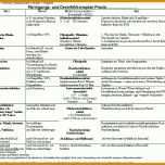 Erschwinglich Hygieneplan Vorlage Word 960x718