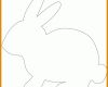 Am Beliebtesten Osterhase Zum Basteln Vorlage 750x748