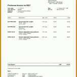 Ausnahmsweise Proforma Invoice Vorlage 728x1030