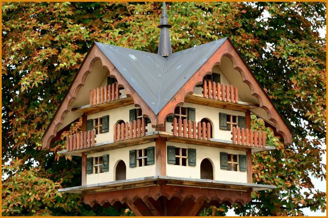 Ausnahmsweise Vogelhaus Basteln Vorlagen 1920x1279
