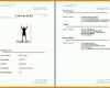 Limitierte Auflage Open Office Lebenslauf Vorlage 892x631