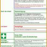 Überraschen Stoko Hautschutzplan Vorlage 960x1370