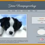 Schockieren Hunde Homepage Vorlagen 800x495