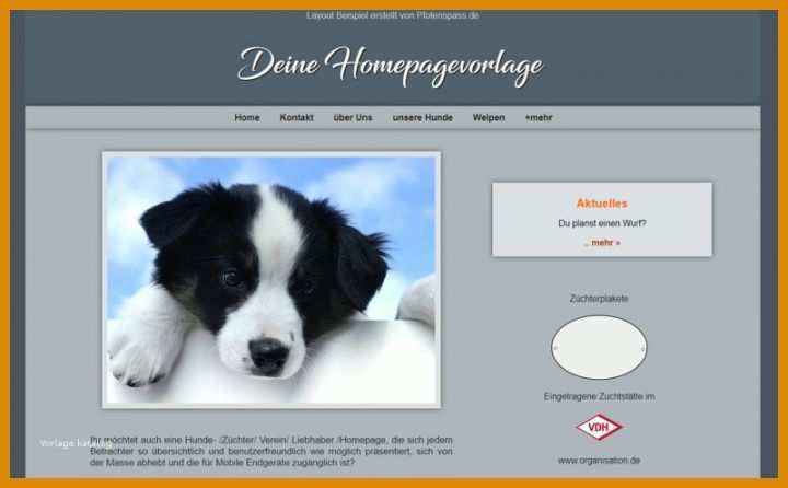 Kreativ Hunde Homepage Vorlagen 800x495