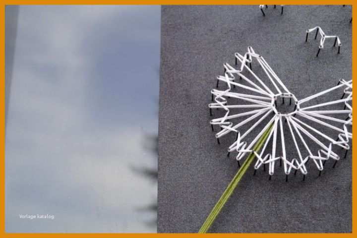 Schockieren Pusteblume Vorlage 750x500