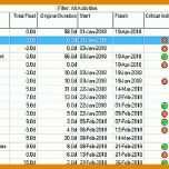Singular Einsatzplanung Excel Vorlage Kostenlos 876x353