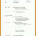 Bestbewertet Lebenslauf Pdf Vorlage 986x1380