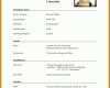 Angepasst Lebenslauf Pdf Vorlage 768x1024