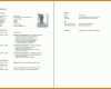 Singular Pages Lebenslauf Vorlage 1086x749