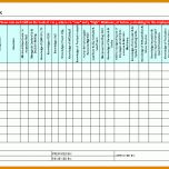 Außergewöhnlich Skill Matrix Vorlage Excel Deutsch 914x643