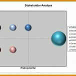 Schockierend Stakeholderanalyse Vorlage 854x575