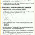 Beeindruckend Unterweisung Vorlage Word 960x1494
